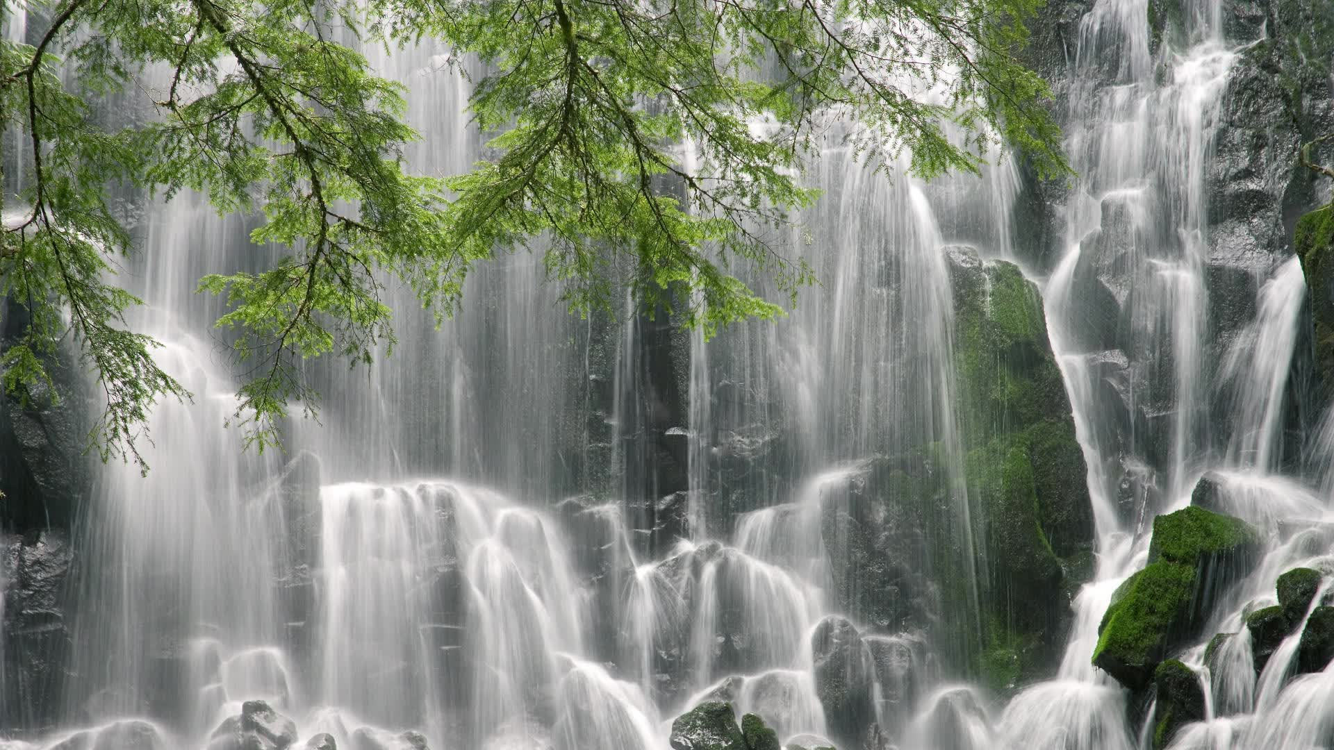 世界游泳赛后选手康复疗程效果评价标准化建议,世界游泳比赛冠军